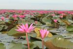 ภาพโดย(T.suwan)